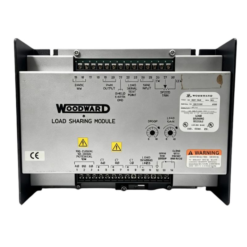 Woodward 9907-838