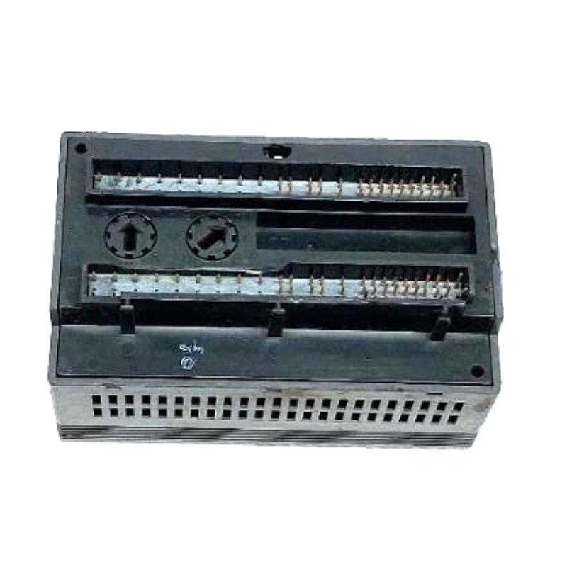 IC200ALG432 (4)
