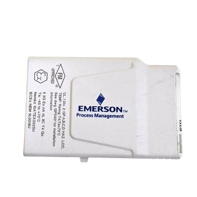 Emerson KL3031X1-BA1 RTD and Resistance Input CHARM (Characterization Module)