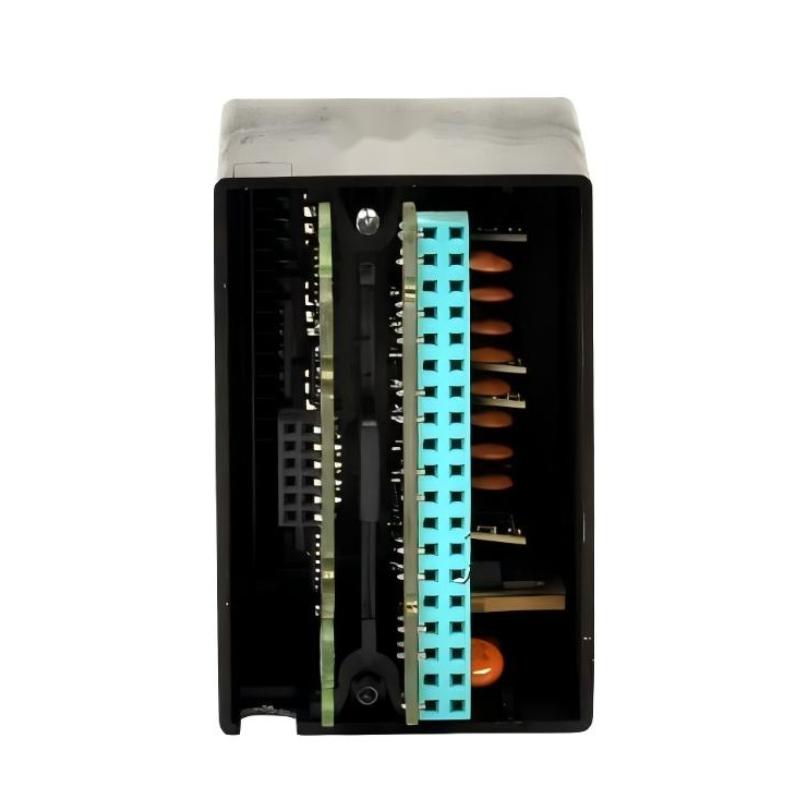 IC670ALG320 (3)