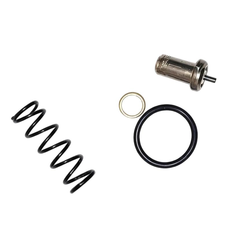 Ingersoll Rand 24509184 Temperature Control Valve Repair Kit