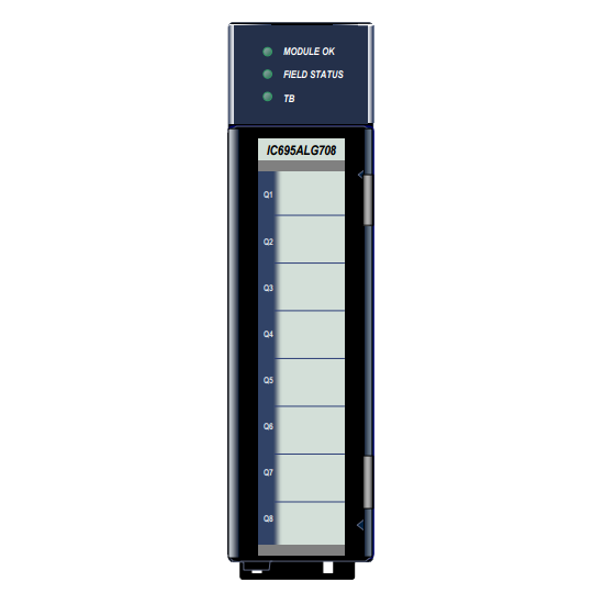 GE Fanuc IC695ALG704