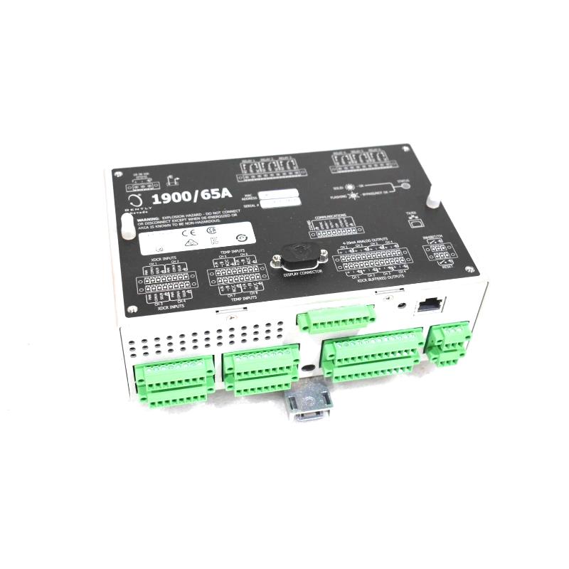 Bently Nevada 1900/65A