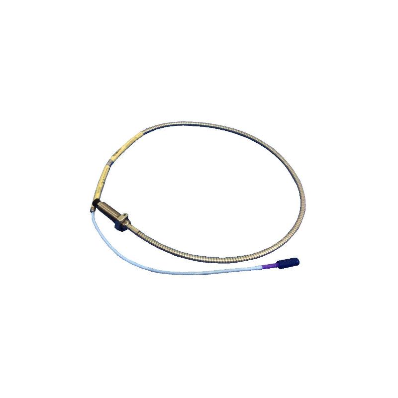 Bently Nevada 330710-000-060-10-02-00